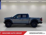 2025 F-150 Thumbnail 8