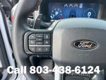 2025 F-150 Thumbnail 19