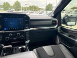2025 F-150 Thumbnail 12