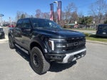2025 F-150 Thumbnail 4