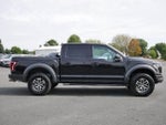 2017 F-150 Thumbnail 6