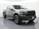 2019 F-150 Thumbnail 4