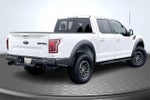 2019 F-150 Thumbnail 2