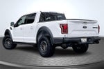 2019 F-150 Thumbnail 13