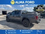 2019 F-150 Thumbnail 13