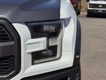 2019 F-150 Thumbnail 8