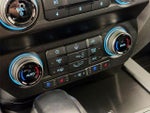 2020 F-150 Thumbnail 17