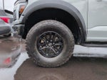 2024 F-150 Thumbnail 10