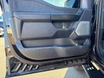 2024 F-150 Thumbnail 12