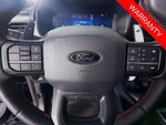 2025 F-150 Thumbnail 11