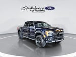 2025 F-150 Thumbnail 11