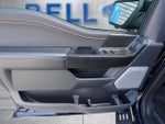 2025 F-150 Thumbnail 14