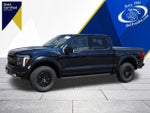 2025 F-150 Thumbnail 9