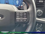 2025 F-150 Thumbnail 8