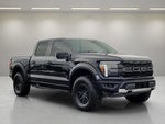 2025 F-150 Thumbnail 10