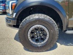 2025 F-150 Thumbnail 8