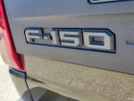 2025 F-150 Thumbnail 11
