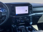 2025 F-150 Thumbnail 7