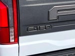 2025 F-150 Thumbnail 10
