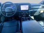 2025 F-150 Thumbnail 16