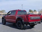 2026 F-150 Thumbnail 4