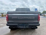 2026 F-150 Thumbnail 4