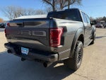 2019 F-150 Thumbnail 8