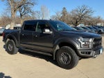 2019 F-150 Thumbnail 12