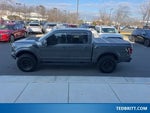 2019 F-150 Thumbnail 4