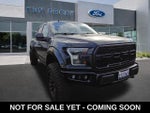 2019 F-150 Thumbnail 1