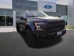 2019 F-150 Thumbnail 19