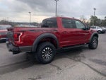 2019 F-150 Thumbnail 3