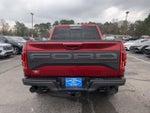 2019 F-150 Thumbnail 4