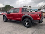 2019 F-150 Thumbnail 5