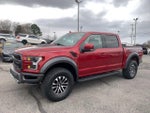 2019 F-150 Thumbnail 7