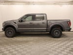 2019 F-150 Thumbnail 8