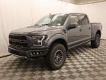 2019 F-150 Thumbnail 11