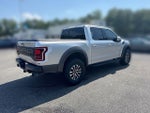 2019 F-150 Thumbnail 8