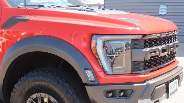 2021 Ford F-150 Raptor