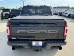 2023 F-150 Thumbnail 6