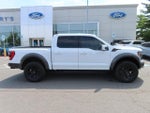 2023 F-150 Thumbnail 4