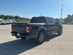 2023 F-150 Thumbnail 5
