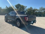 2023 F-150 Thumbnail 7