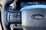 2025 F-150 Thumbnail 22