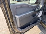 2025 F-150 Thumbnail 14