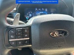 2025 F-150 Thumbnail 13