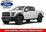 2017 F-150 Thumbnail 1