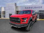 2019 F-150 Thumbnail 2