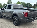 2019 F-150 Thumbnail 4