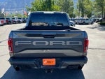 2019 F-150 Thumbnail 7